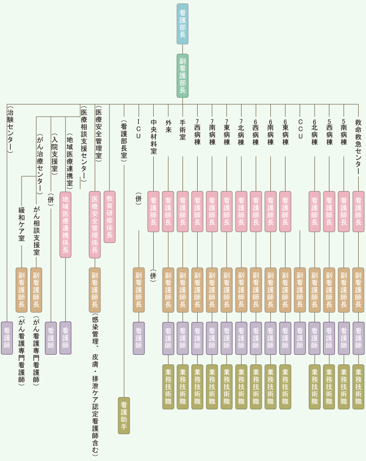 国立病院機構熊本医療センター看護部組織図
